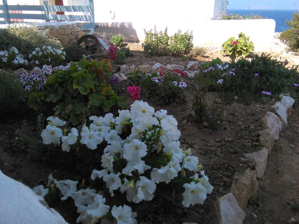 Makares Apart otel Donoussa Dış mekan fotoğraf